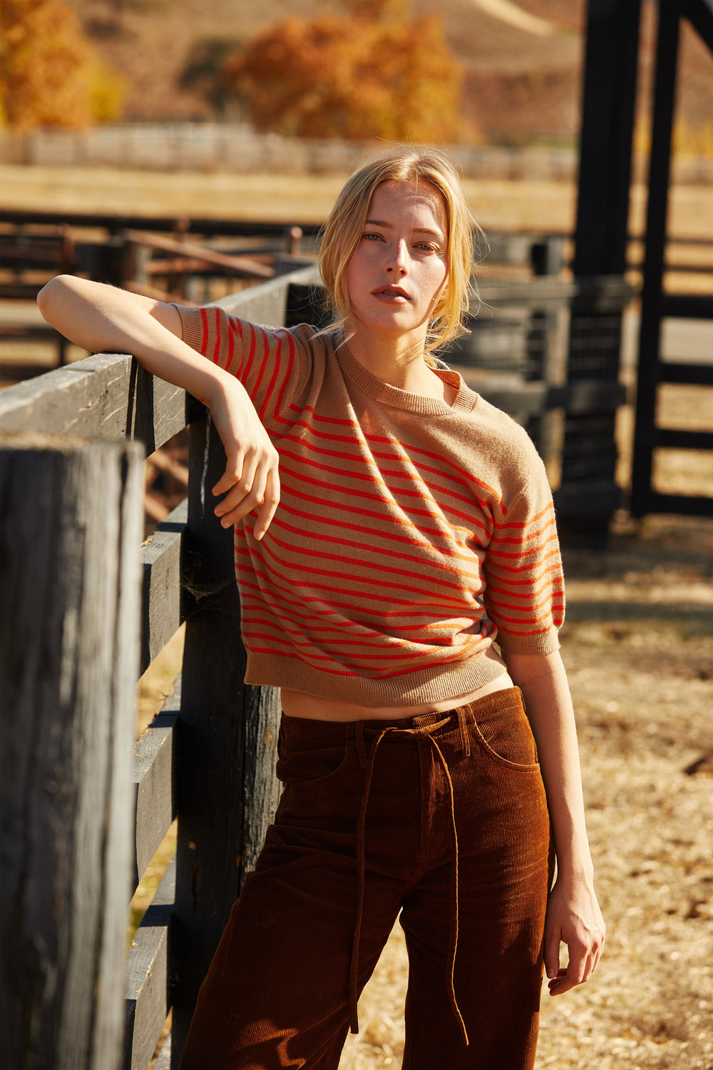 Olivia Stripe Short Sleeve Sweater Top